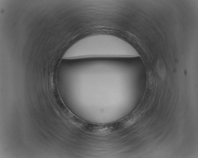 X0000078290267200611030959