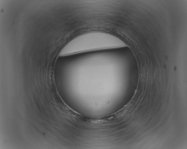 X0000078290268200611030959