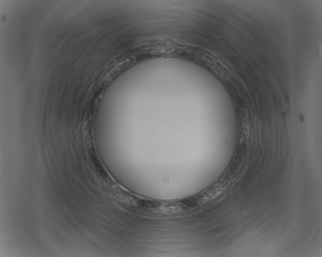 X0000078290270200611030959