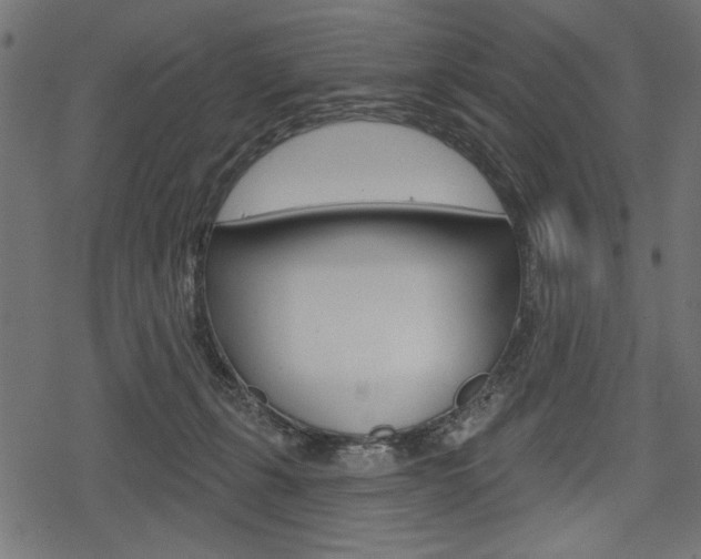 X0000078290271200611030959