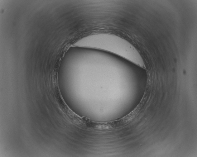 X0000078290272200611030959