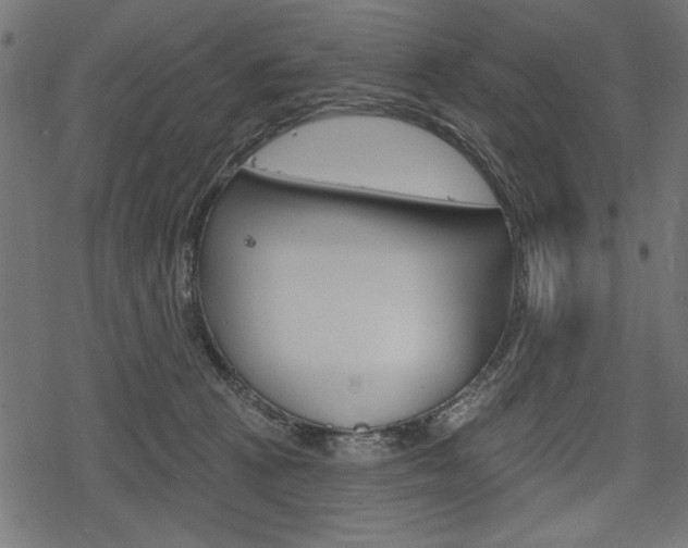 X0000078290273200611030959