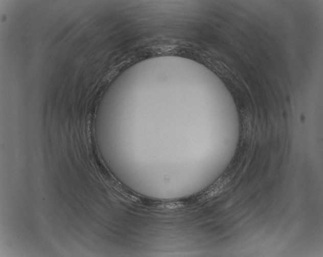 X0000078290274200611030959