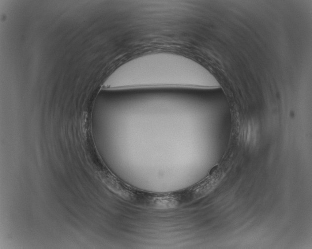 X0000078290275200611030959