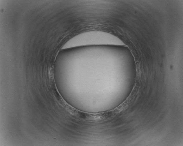 X0000078290276200611030959