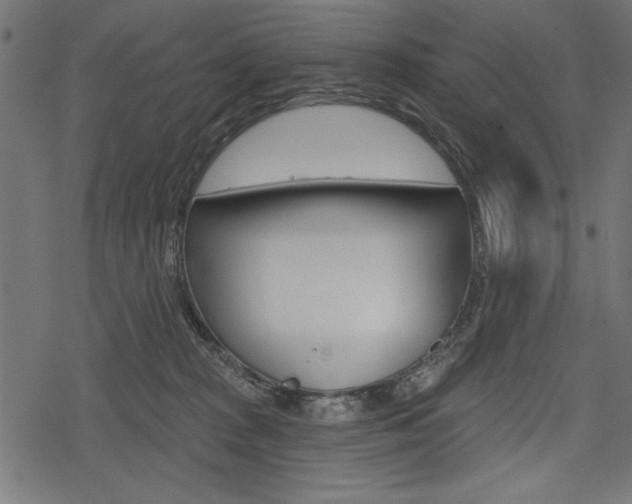 X0000078290277200611030959