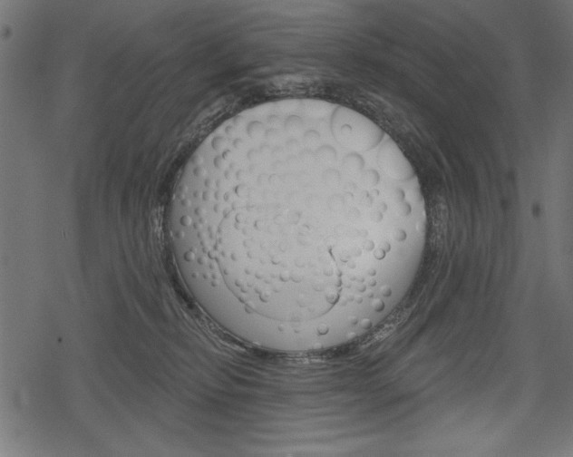 X0000078290278200611030959