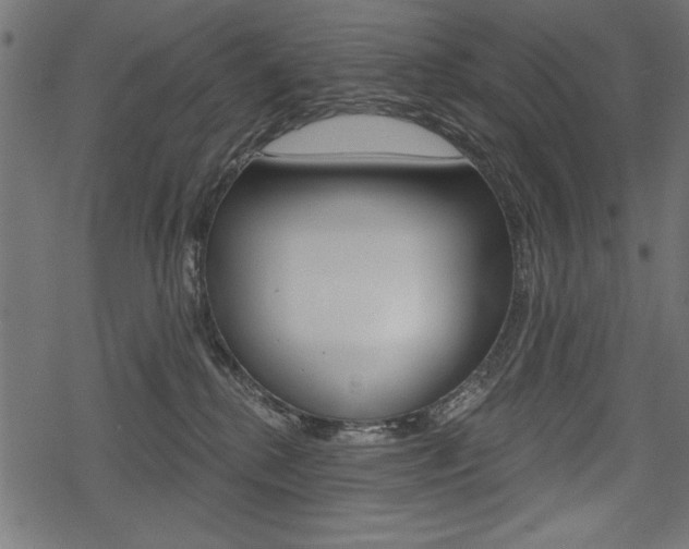 X0000078290280200611031000