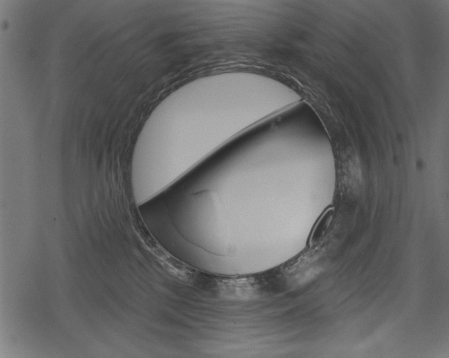 X0000078290281200611031000