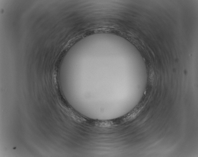 X0000078290282200611031000