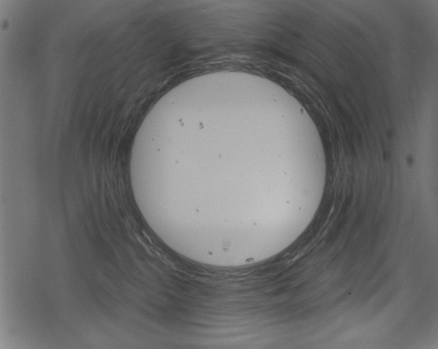 X0000078290284200611031000