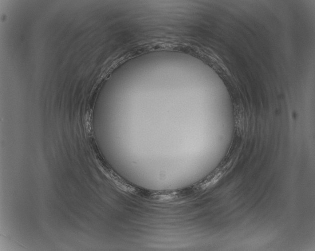 X0000078290285200611031000