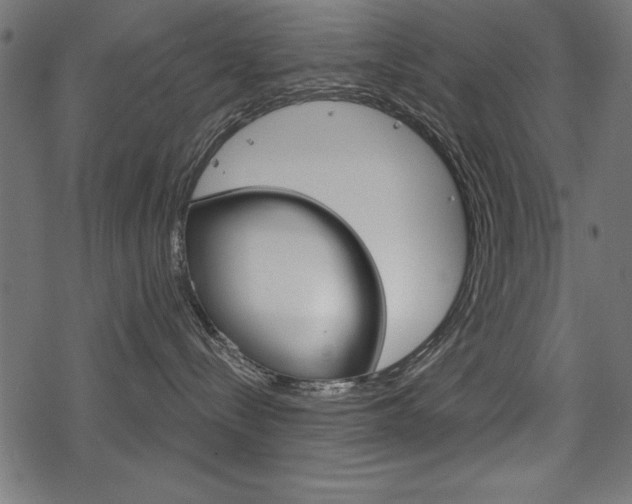 X0000078290288200611031000