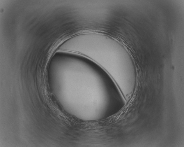 X0000078290289200611030959