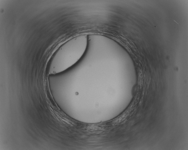 X0000078290290200611030959