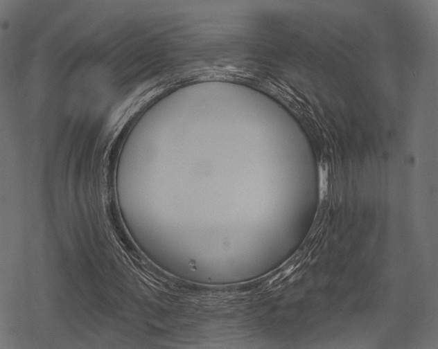 X0000078290291200611030959