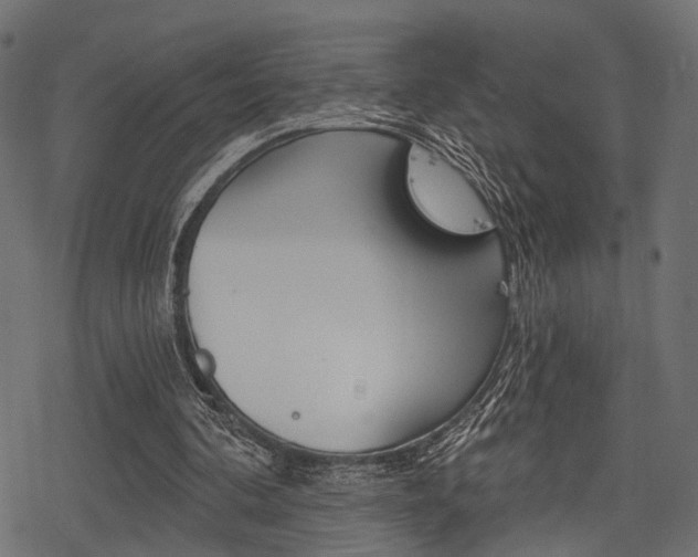 X0000078290292200611030959