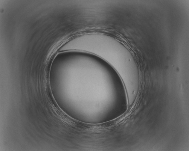 X0000078290293200611030959