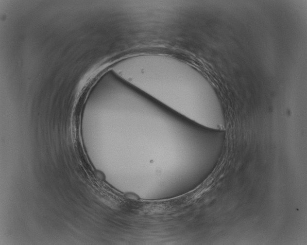 X0000078290294200611030959