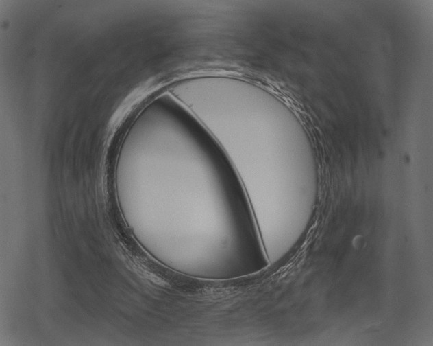 X0000078290296200611030959