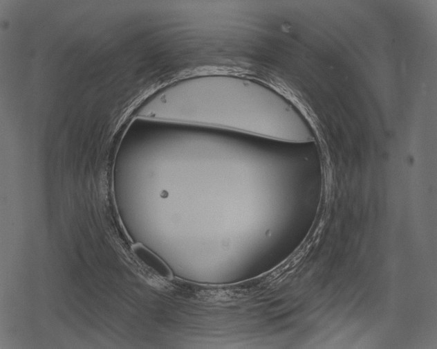 X0000078290297200611030959