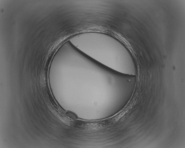 X0000078290298200611030959