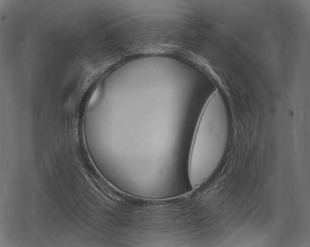 X0000078290299200611030959