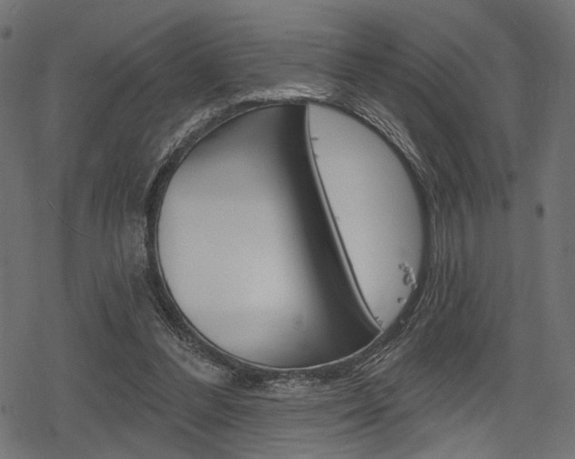 X0000078290300200611030959