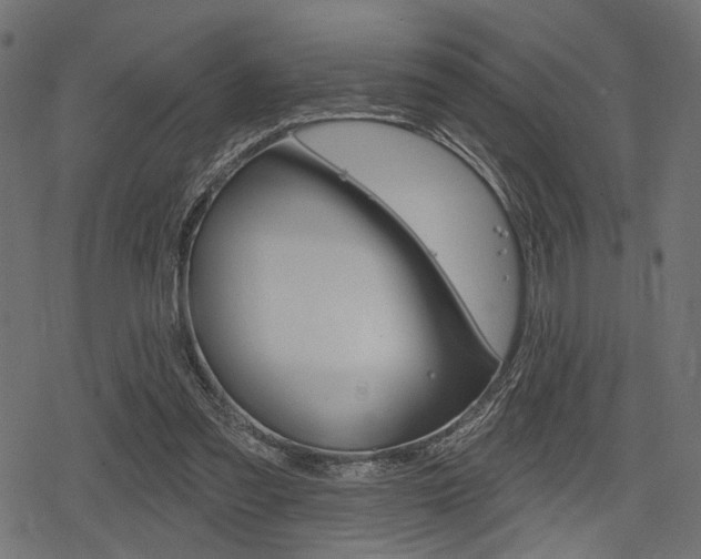 X0000078290301200611030959