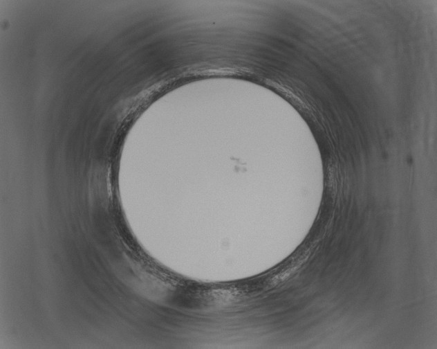 X0000078290302200611030959