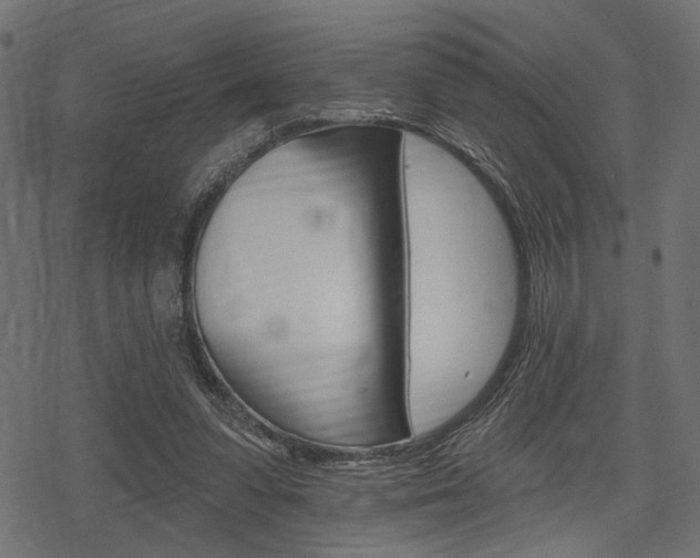 X0000078290303200611030959