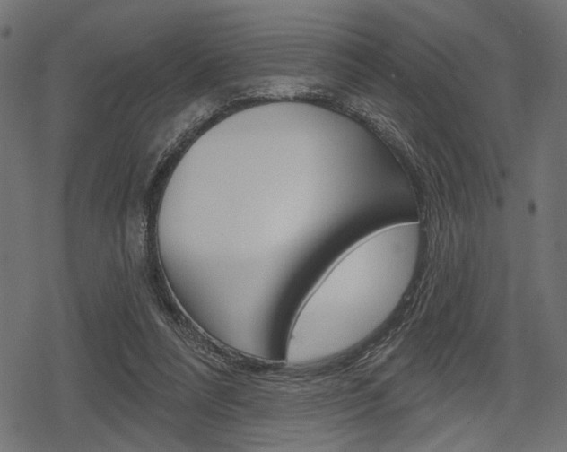 X0000078290304200611030959