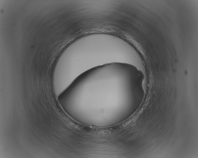 X0000078290305200611030959