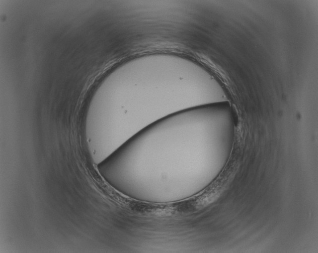 X0000078290306200611030959