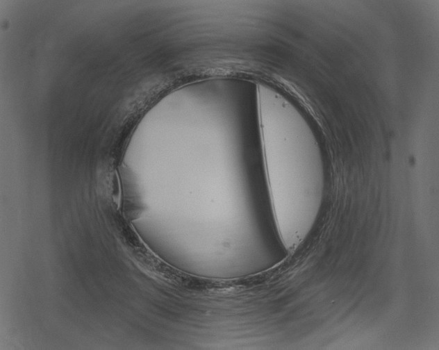 X0000078290307200611030959