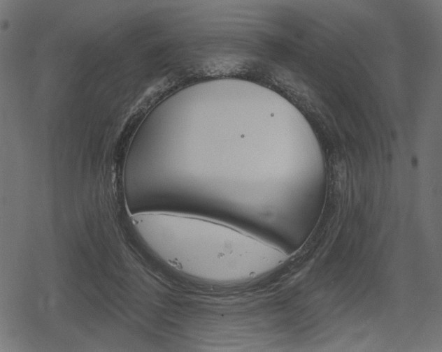 X0000078290308200611030959