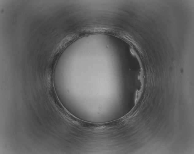 X0000078290309200611030959