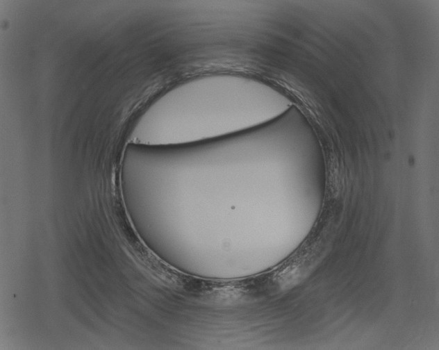 X0000078290310200611030959