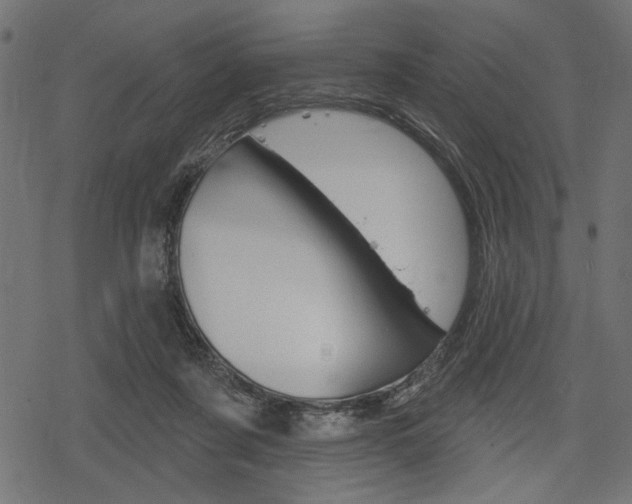 X0000078290311200611030959