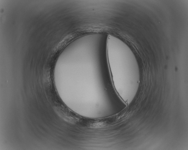 X0000078290312200611030959