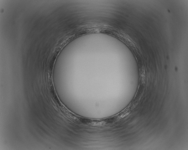 X0000078290314200611030958