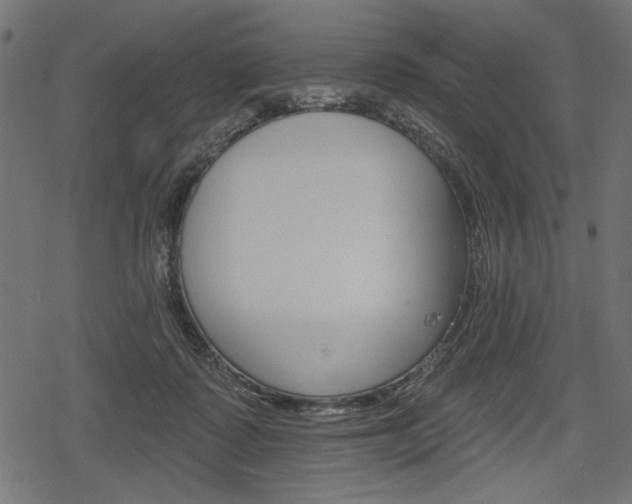 X0000078290315200611030958