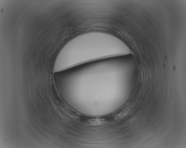 X0000078290316200611030958