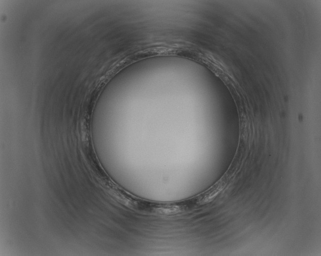 X0000078290317200611030958