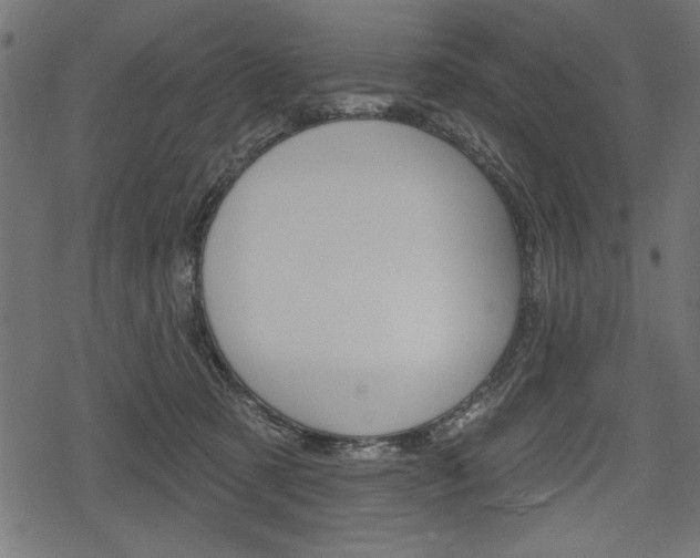 X0000078290321200611030958