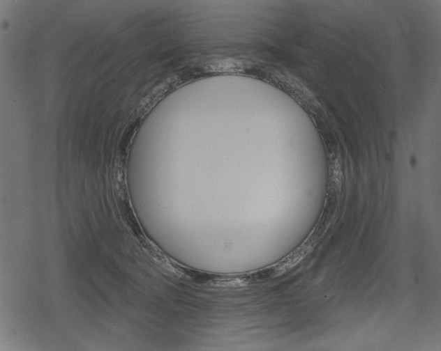 X0000078290322200611030958