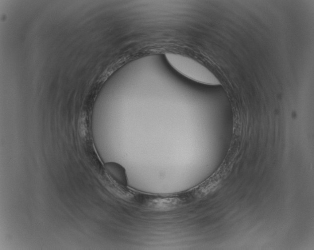 X0000078290323200611030958