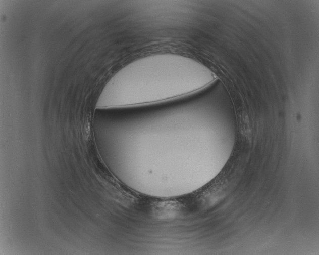 X0000078290324200611030958