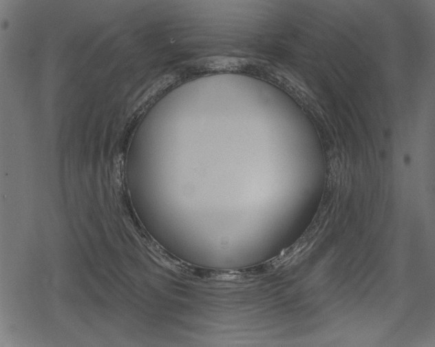 X0000078290325200611030958