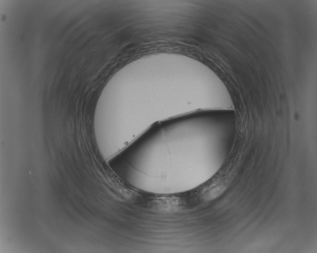 X0000078290328200611030958